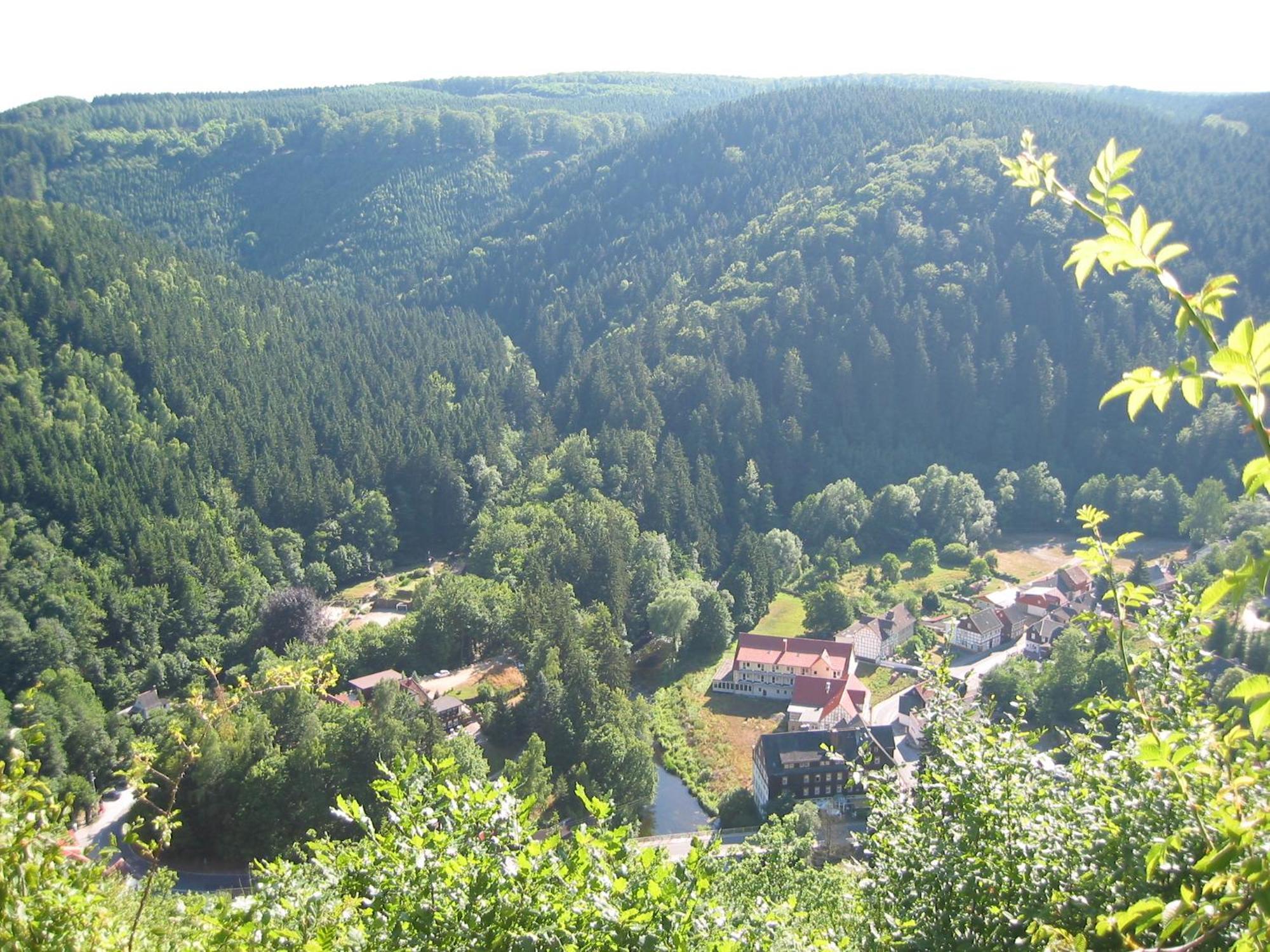 Greenline Ferienhotel Forelle Thale Extérieur photo